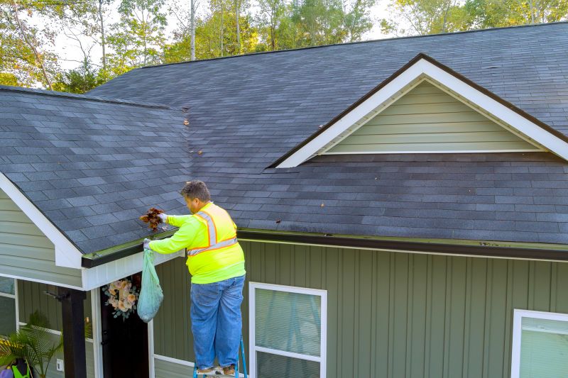 Gutter and Shingle Maintenance