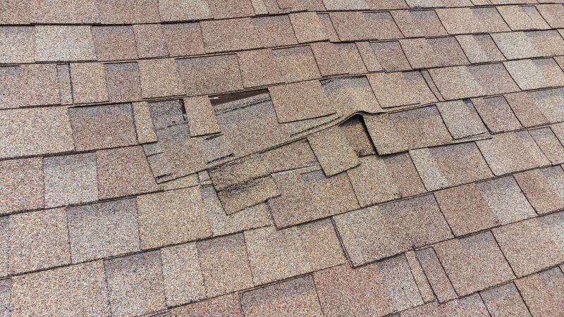 Repairing Damaged Shingles